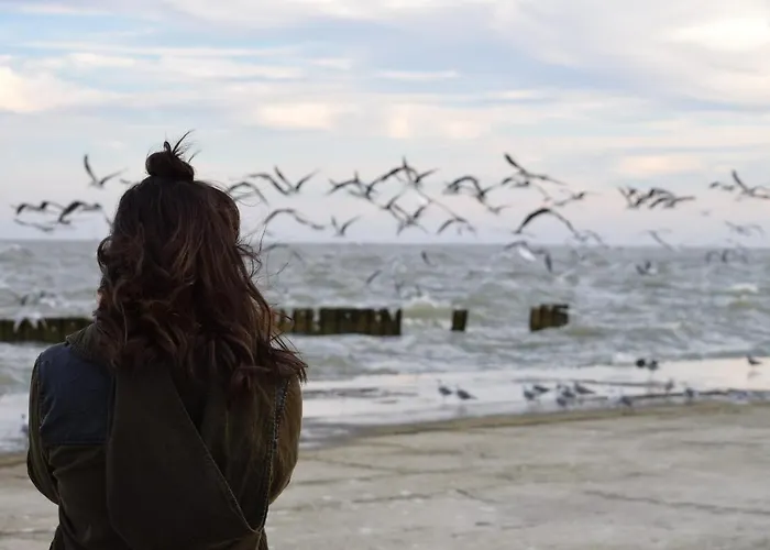 Appartamento 54° Nord 4 *